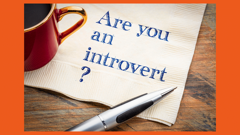 introverted solopreneurs